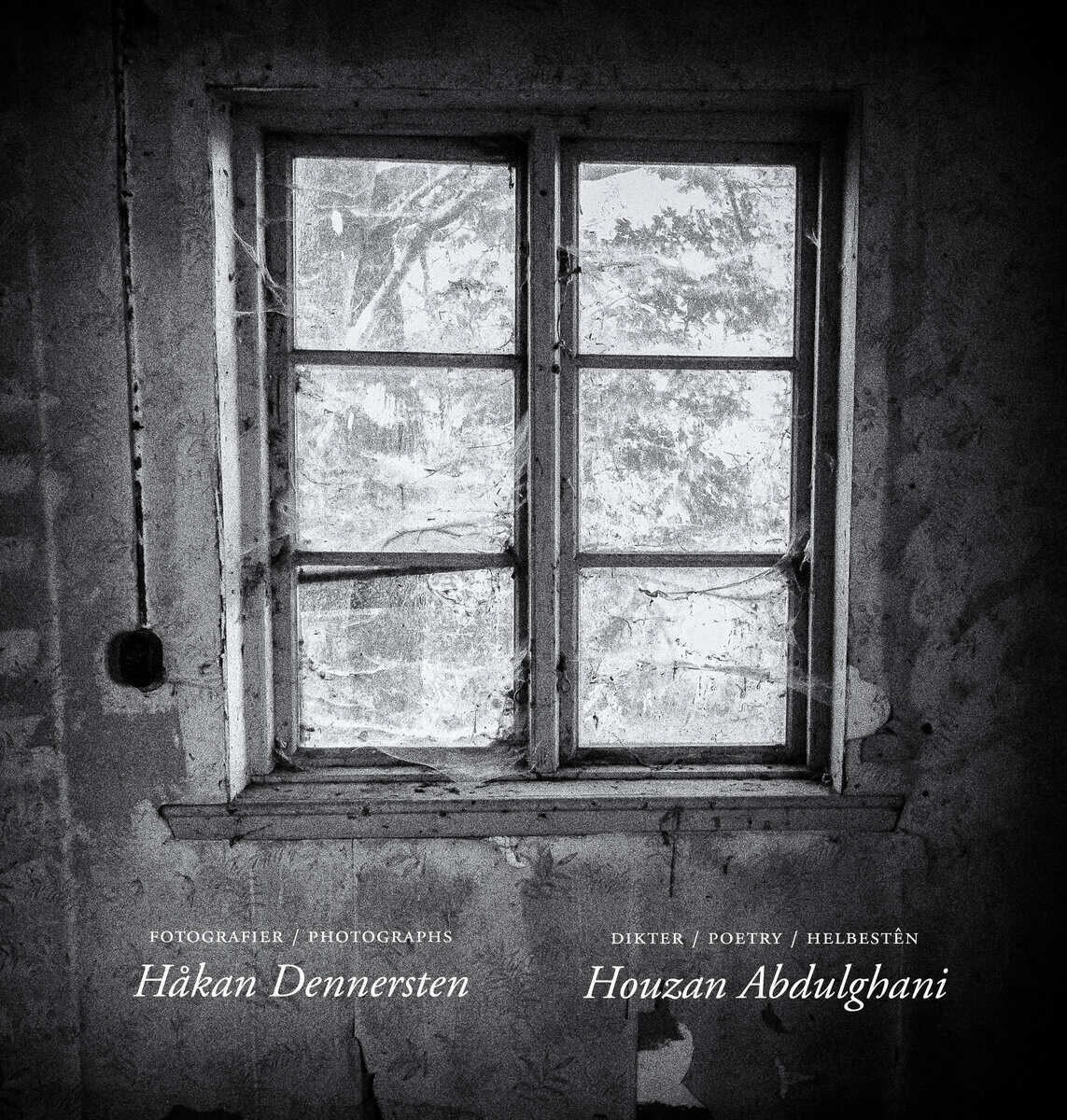 Houzan Abdulghani : The beauty in the ravage of time