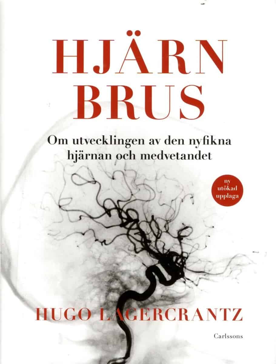 Hugo Lagercrantz : Hjärnbrus