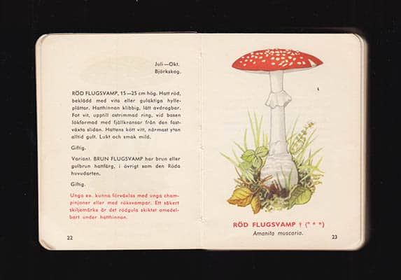 Hugo Stelin : Svampplockarens A och O. Granskad av mykolog Hugo Stelin. A.-B. Del II [av II] (de två utvikbara Svampkartorna i tryckt mapp saknas)