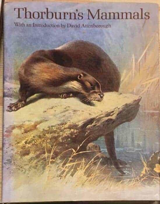 I Bishop : Thorburns mammals - with an introduction by David Attenborough