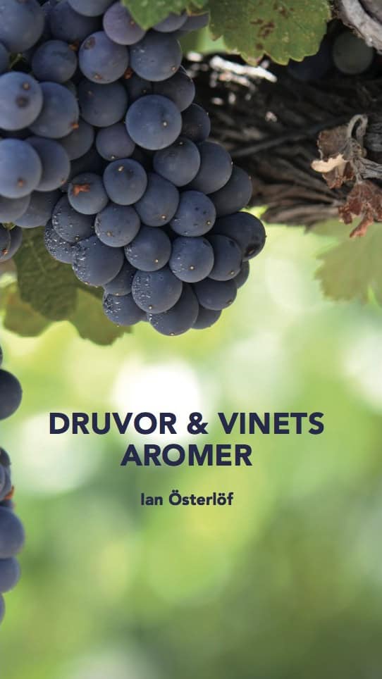 Ian Österlöf : Druvor & vinets aromer