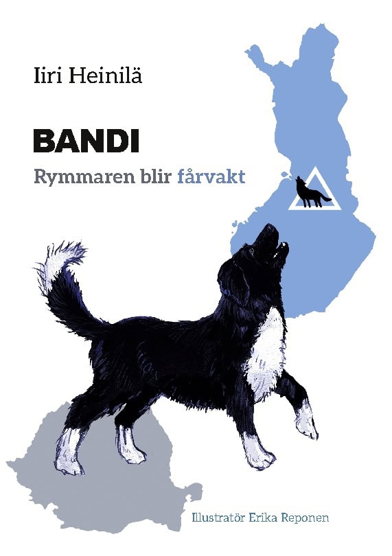 Iiri Heinilä : Bandi
