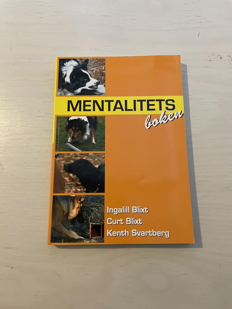 Ingalill Blixt : Mentalitetsboken