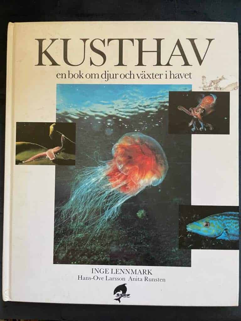 Inge Lennmark : Kusthav