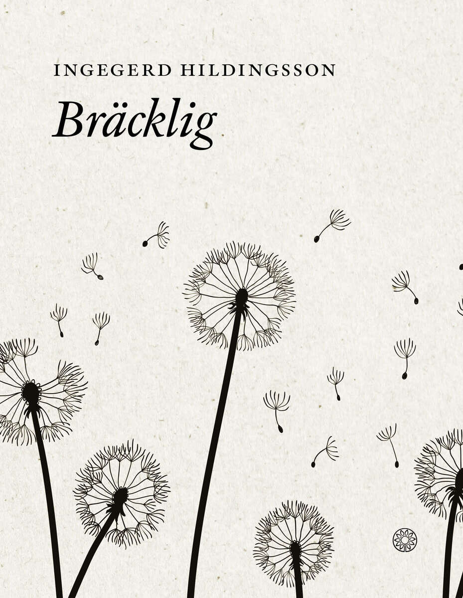Ingegerd Hildingsson : Bräcklig