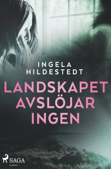 Ingela Hildestedt : Landskapet avslöjar ingen