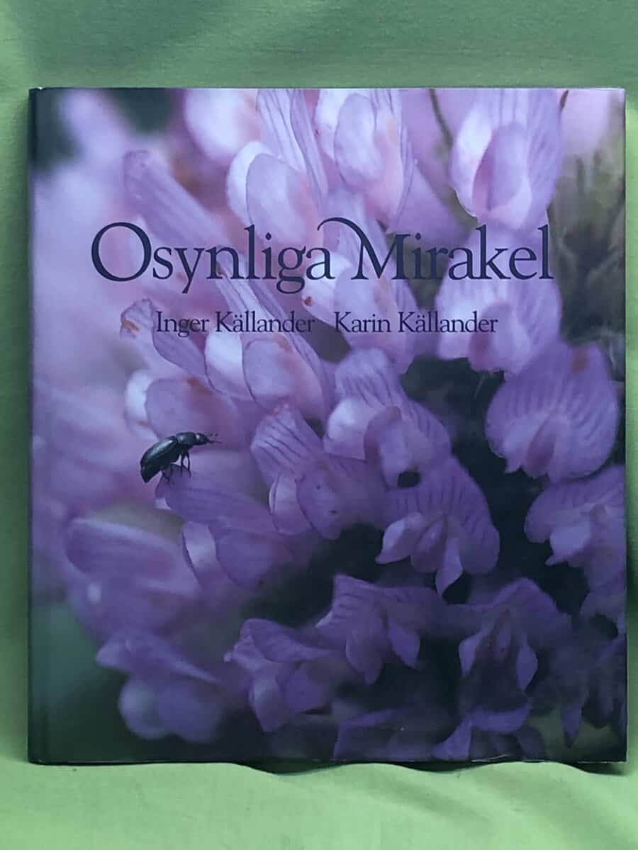 Inger Källander : Osynliga mirakel