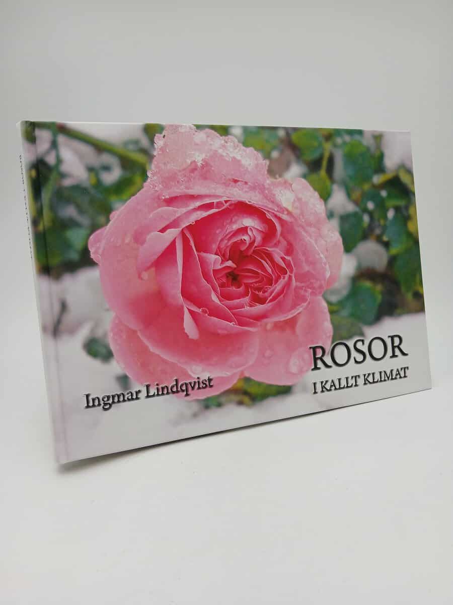 Ingmar Lindqvist : Rosor i kallt klimat