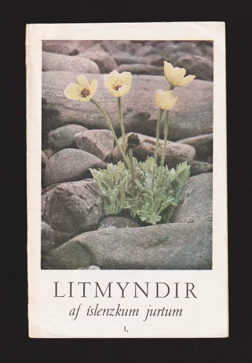 Ingólfur Davíðsson : Litmyndir af islenzkum jurtum I (av II) (isländska örter)
