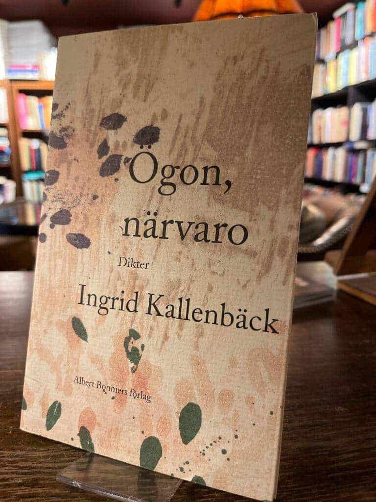Ingrid Kallenbäck : Ögon, närvaro