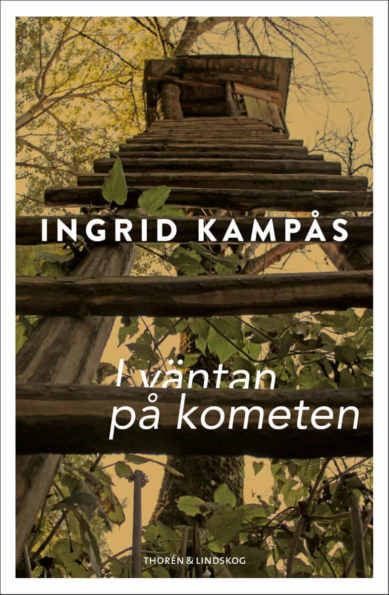 Ingrid Kampås : I väntan på kometen