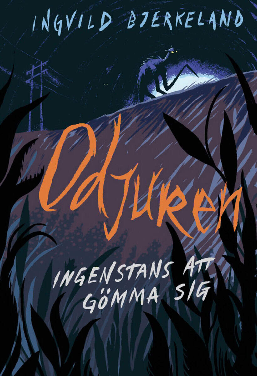 Ingvild Bjerkeland : Ingenstans att gömma sig