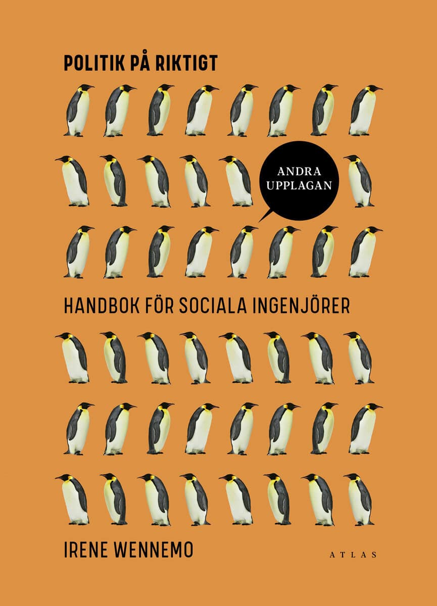 Irene Wennemo : Politik på riktigt : handbok för sociala ingenjörer