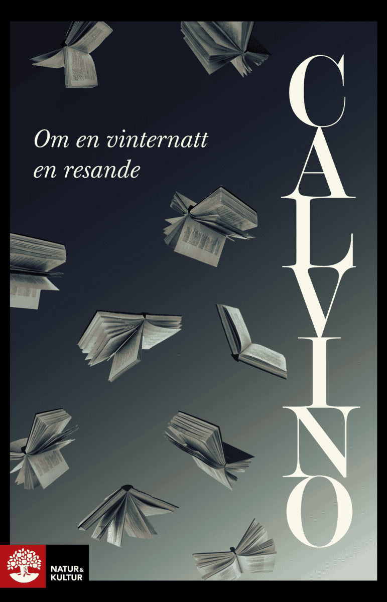 Italo Calvino : Om en vinternatt en resande