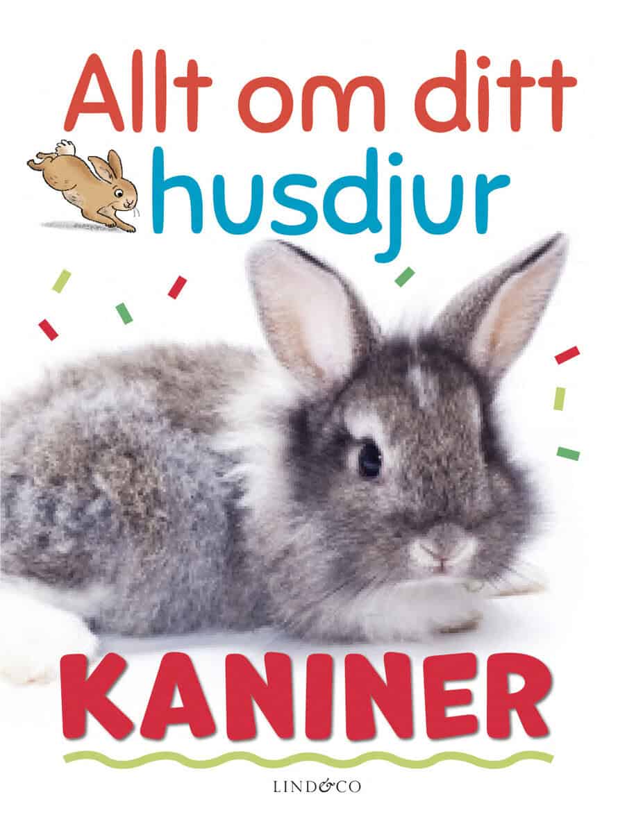Izzi Howell : Allt om ditt husdjur : Kaniner