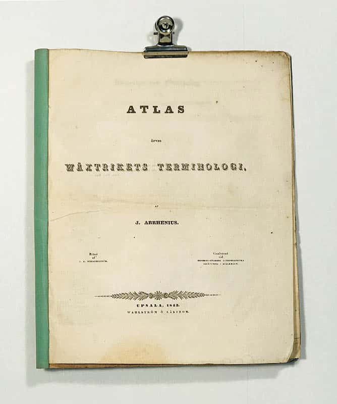 J. Arrhenius : Atlas öfver wäxtrikets terminologi