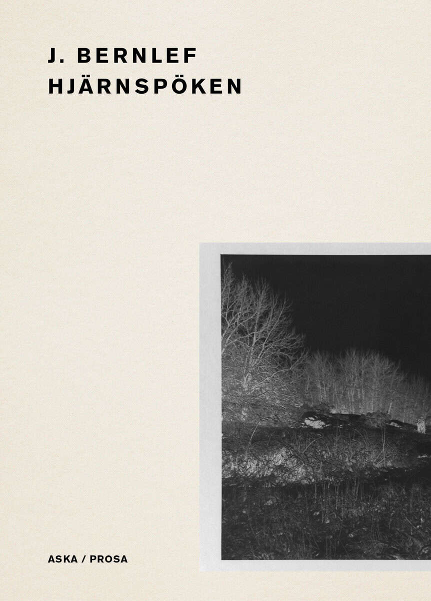 J. Bernlef : Hjärnspöken