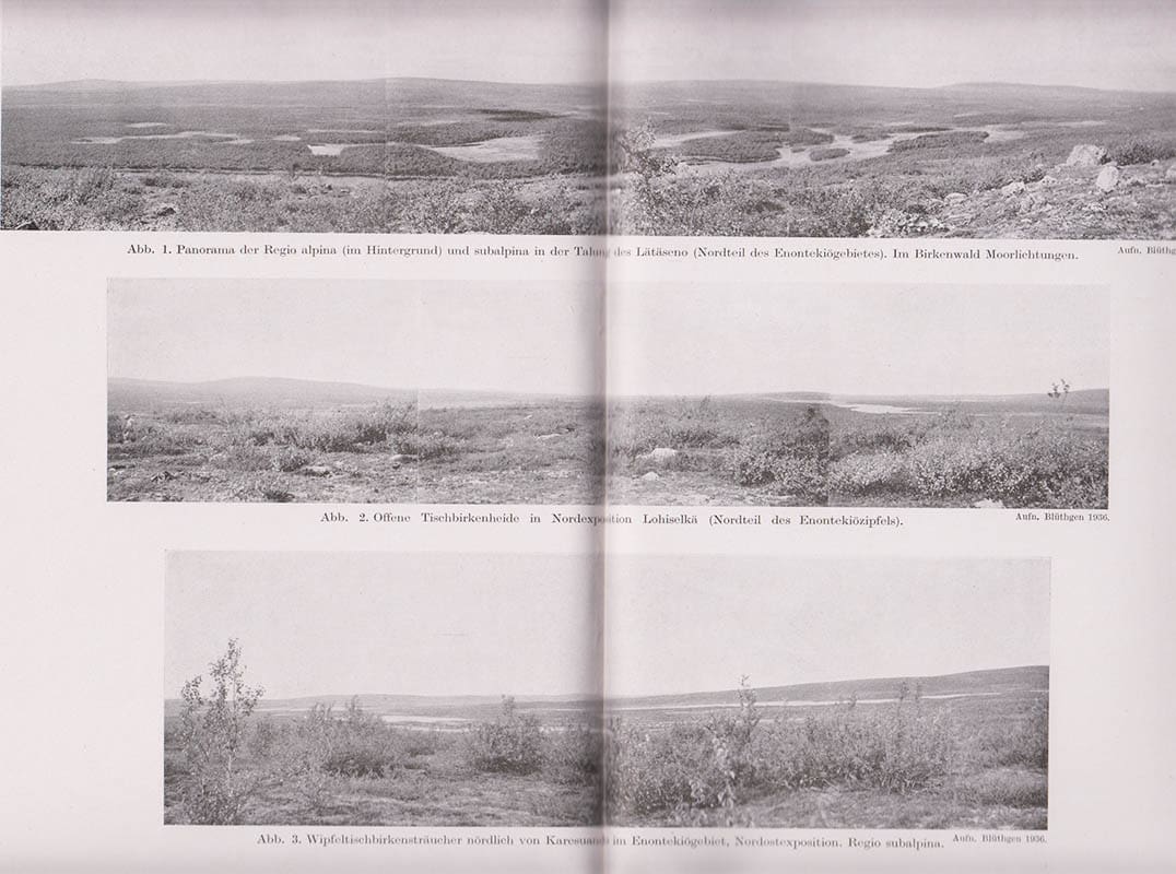 J. Blüthgen : Die polare Baumgrenze in Lappland
