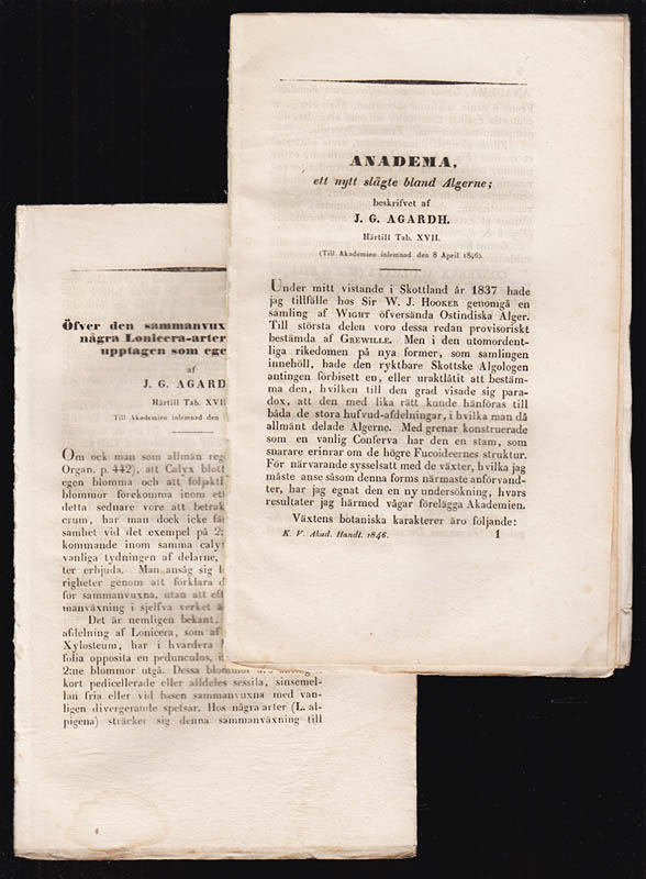 J. G. Agardh : Anadema, ett nytt slägte bland Algerne. Härtill Tab. VXII. Till Akademien inlemnad den 8 April 1846 + Öfver den sammanvuxna Calyx hos några Lonicera-arter, och Isika upptagen som eget slägte. Härtill Tab. VXIII. Till Akademien inlemnad den 10 Juni 1846 (planscherna saknas)