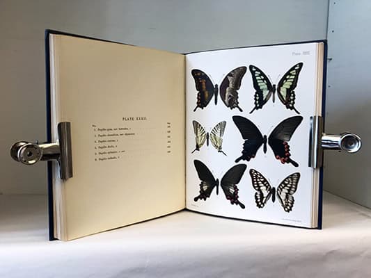 J. H. Leech : Butterflies from China, Japan and Corea. Volume I-III (Complete)