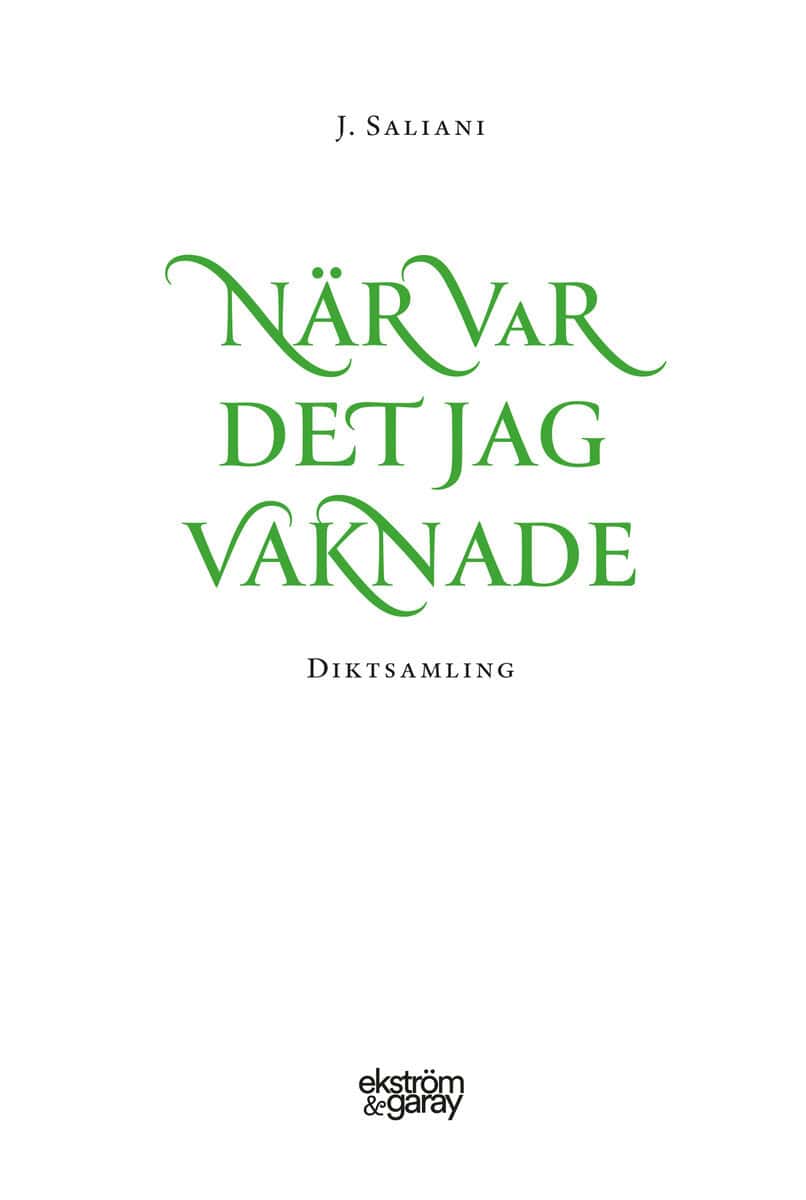 J. Saliani : När var det jag vaknade