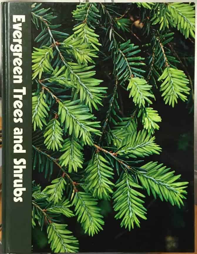 J U Crockett : Evergreen Trees and Shrubs