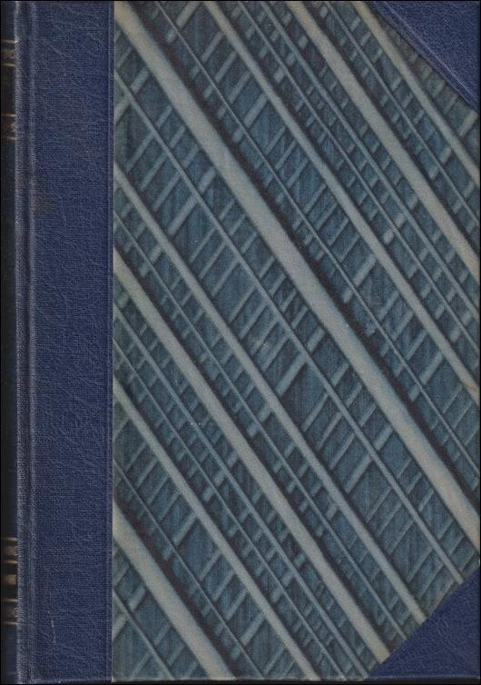 Jack London : Köldens barn