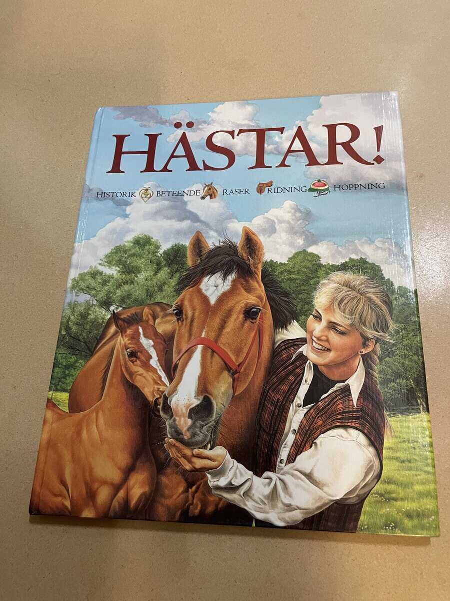 Jackie Budd : Hästar! [historik, beteende, raser, ridning, hoppning]