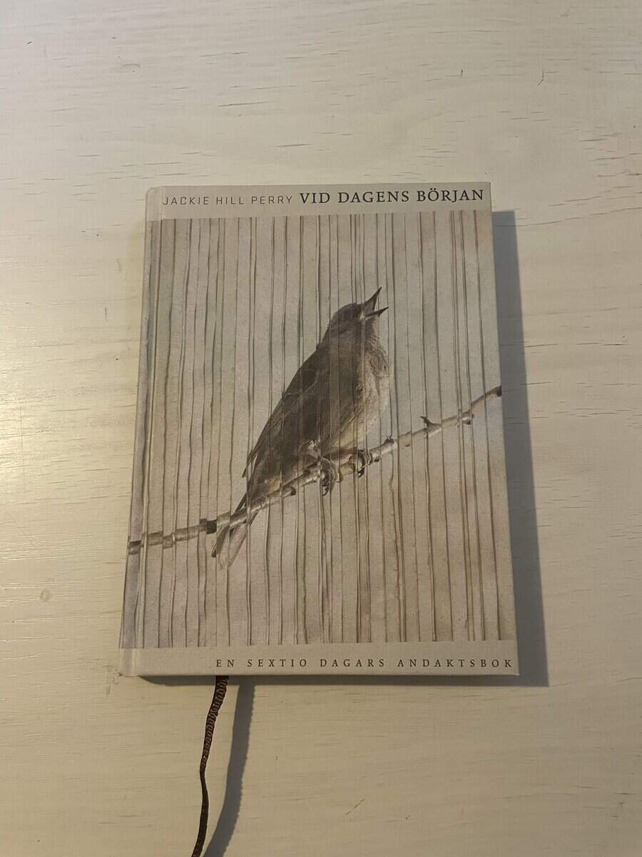Jackie Hill Perry : Vid dagens början