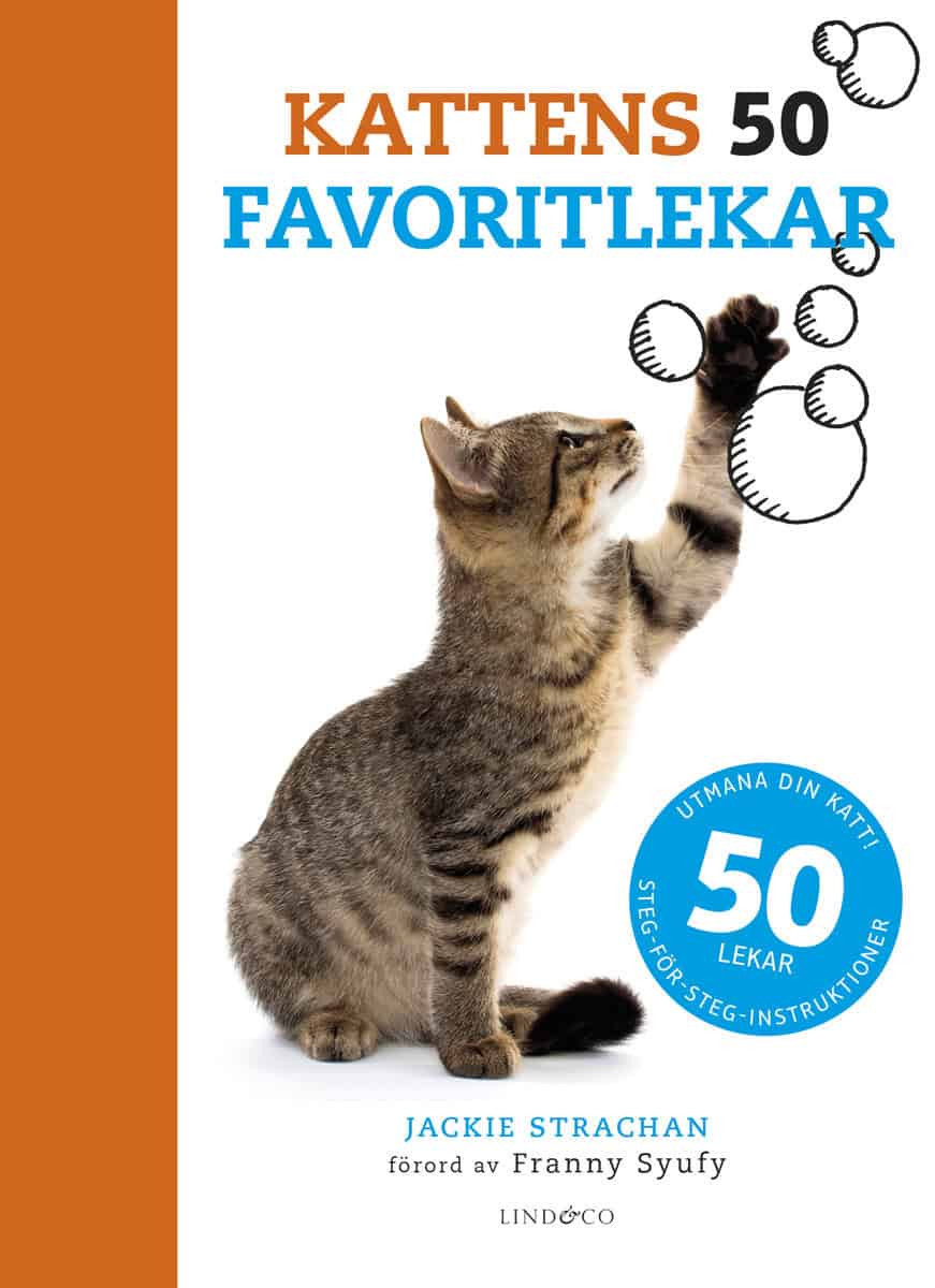 Jackie Strachan : Kattens 50 favoritlekar