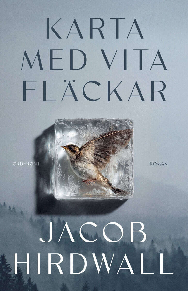 Jacob Hirdwall : Karta med vita fläckar