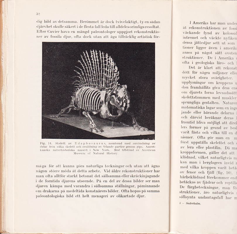 Jakob Johannes Sederholm : Forntidens djurvärld