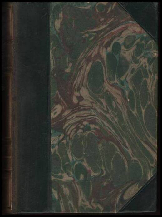 Jakob Wasserman : Renate