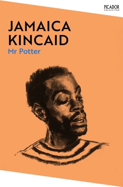 Jamaica Kincaid : Mr Potter