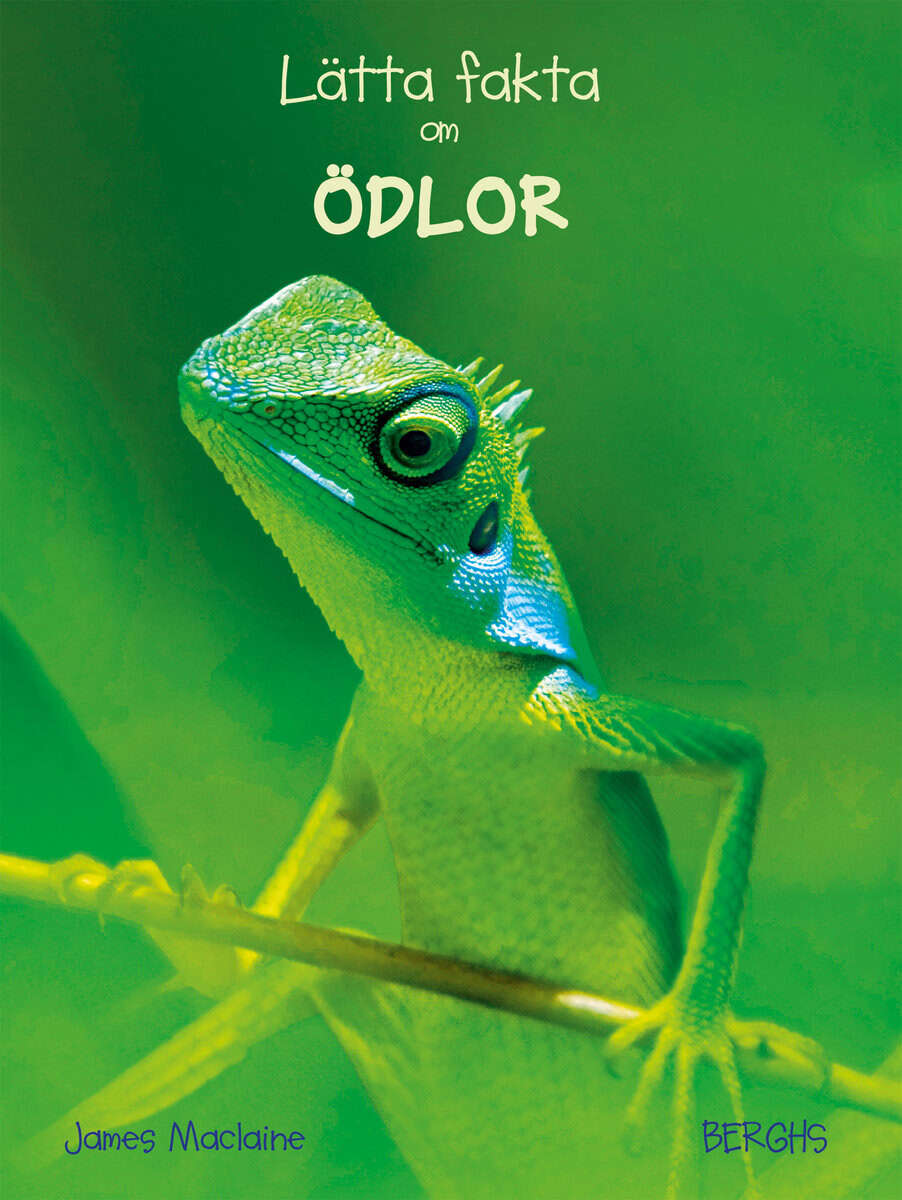 James Maclaine : Lätta fakta om ödlor