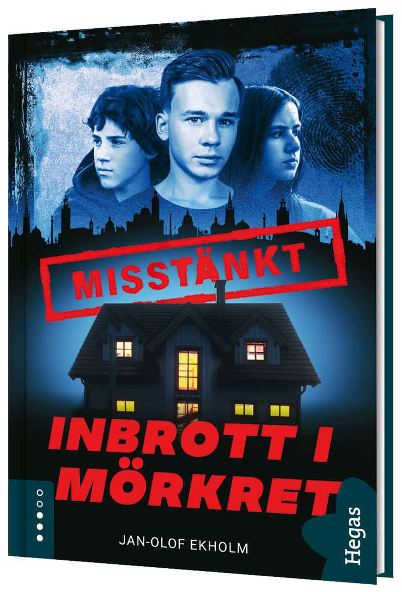 Jan-Olof Ekholm : Inbrott i mörkret