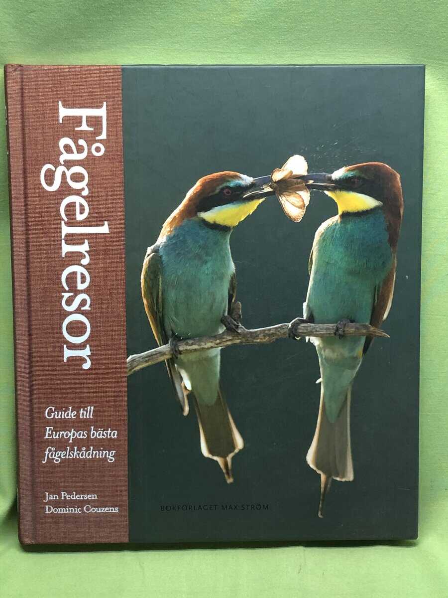 Jan Pedersen : Fågelresor