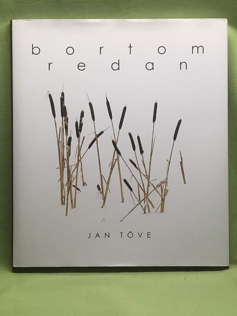 Jan Töve : Bortom redan