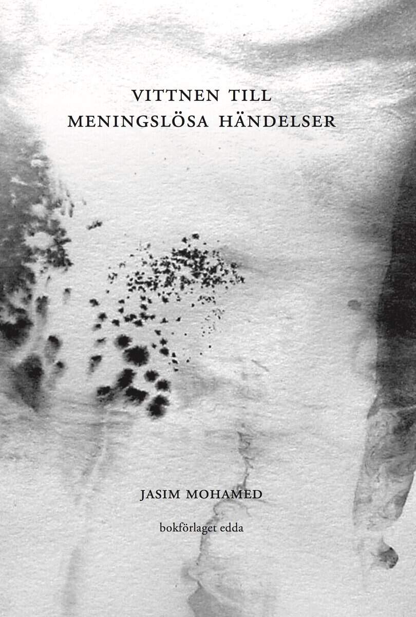 Jasim Mohamed : Vittnen till meningslösa händelser
