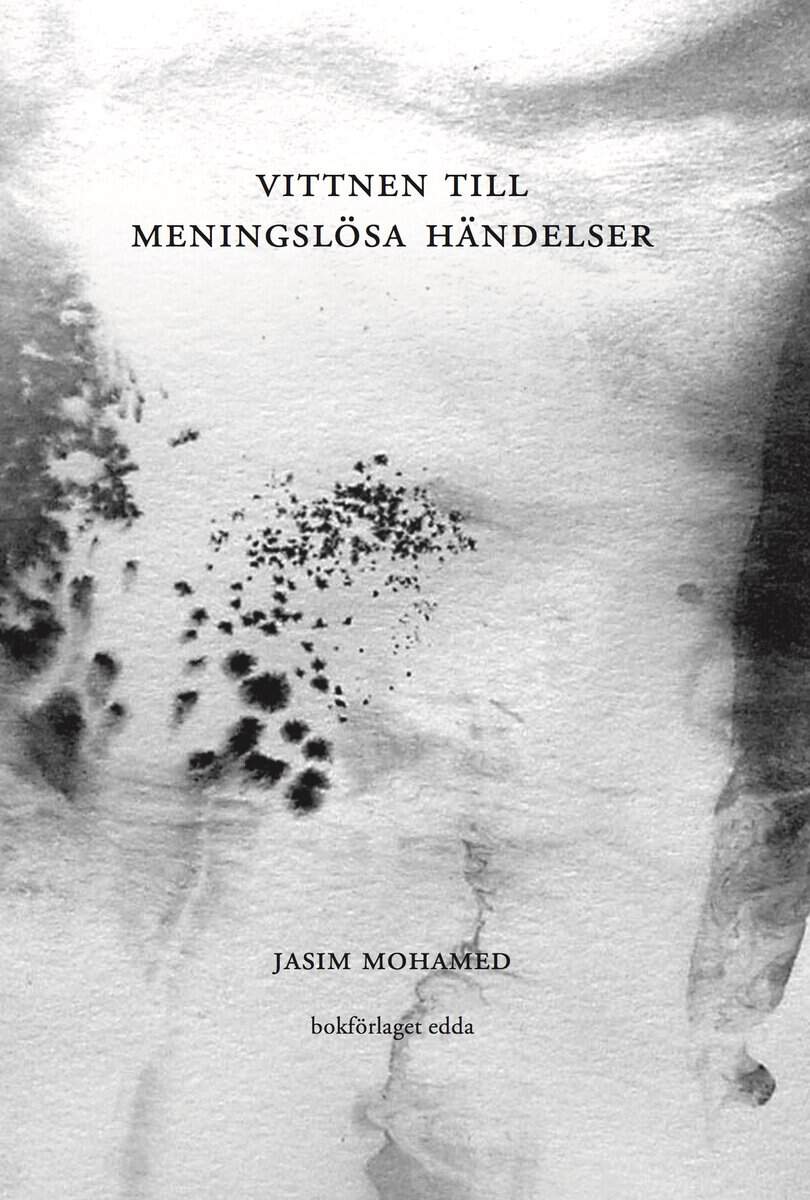 Jasim Mohamed : Vittnen till meningslösa händelser