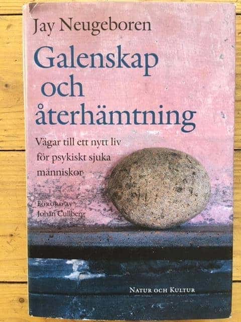 Jay Neugeboren : Galenskap och återhämtning