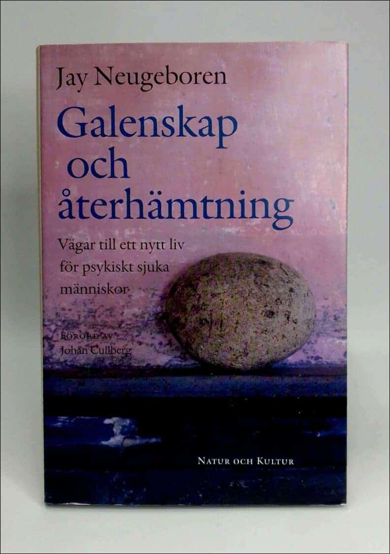 Jay Neugeboren : Galenskap och återhämtning