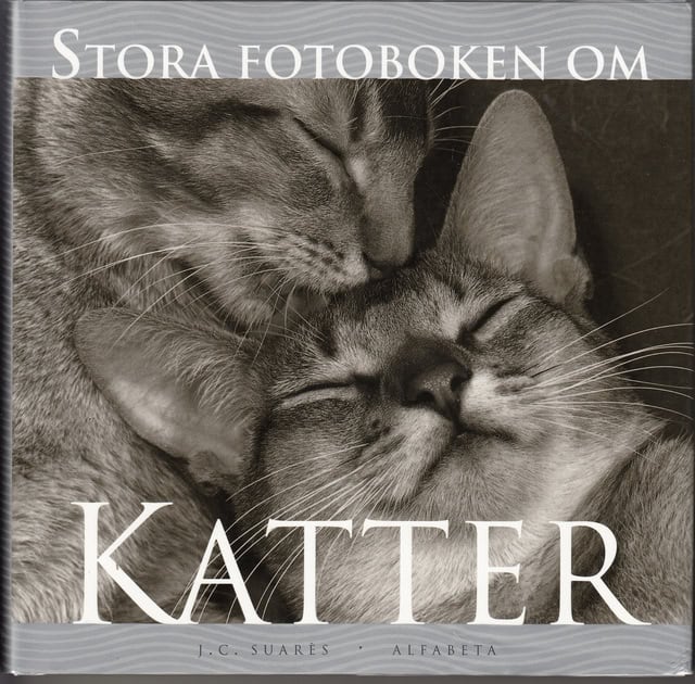 J.C. SUARES : Stora Fotoboken om Katter