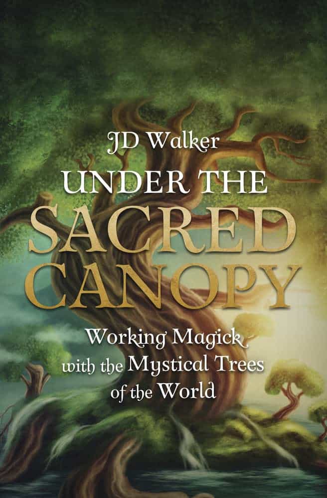 JD Walker : The Grove of the Universe Tree