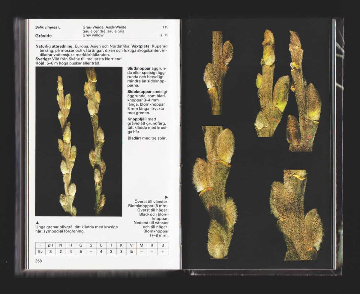 Jean-Denis Godet : Vanliga träd och buskar i Europa under vinterhalvåret. En bestämmningsbok för 150 vedartade växter