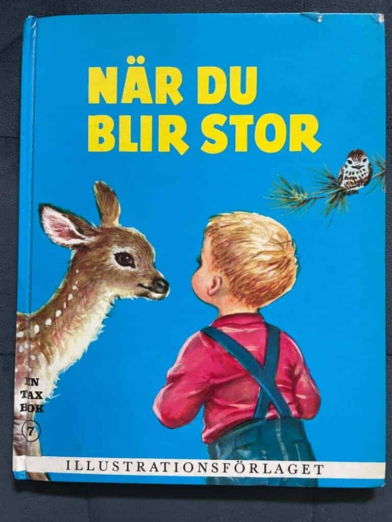 Jean Fritz ; Elisabeth Webbe : När du blir stor - Taxbok 7