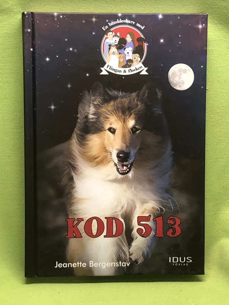 Jeanette Bergenstav : Kod 513