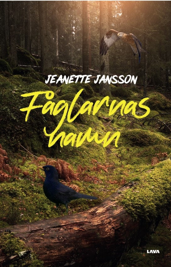 Jeanette Jansson : Fåglarnas namn