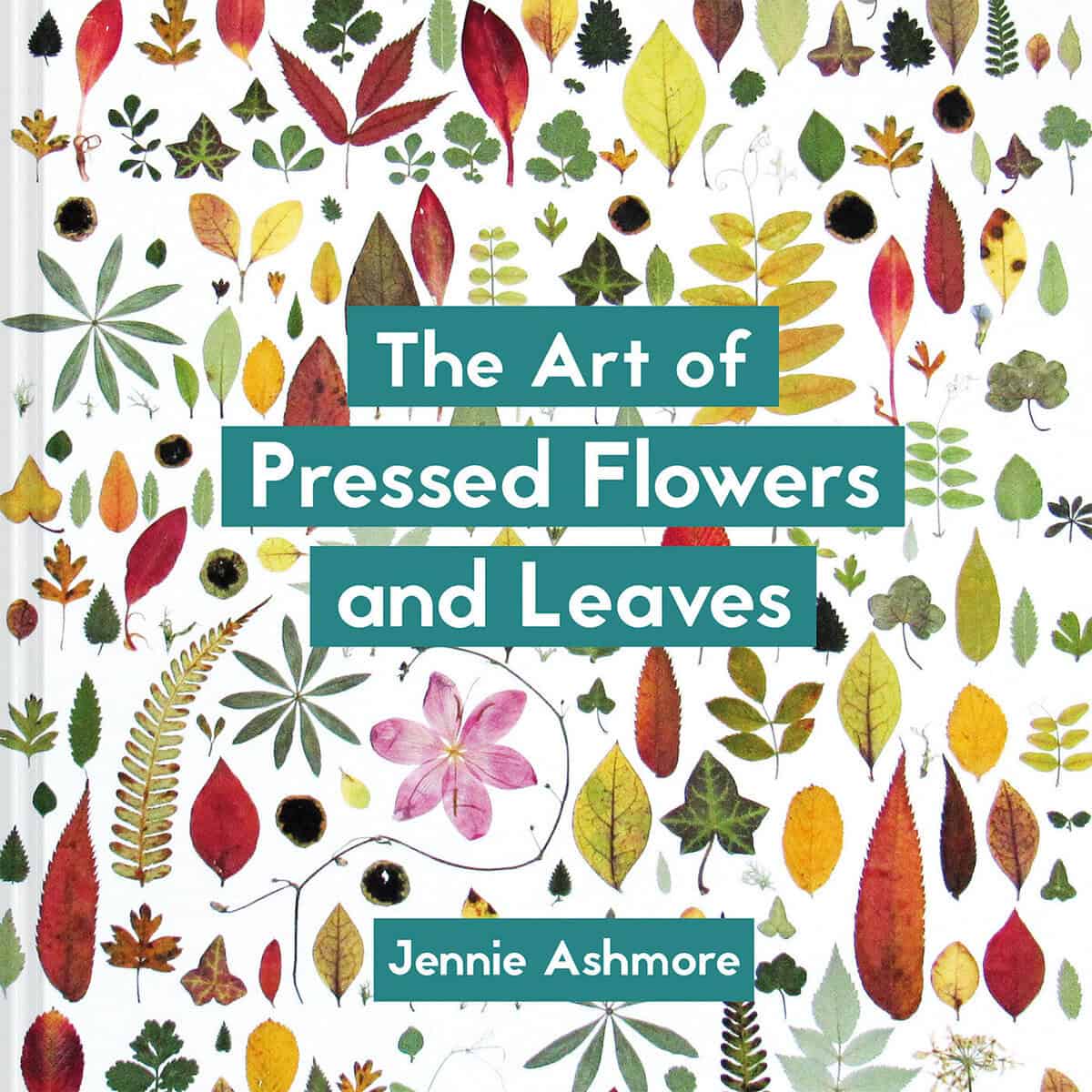 Jennie Ashmore : The Art of Pressed Flowers and Leaves: Contemporary Techniques & Designs