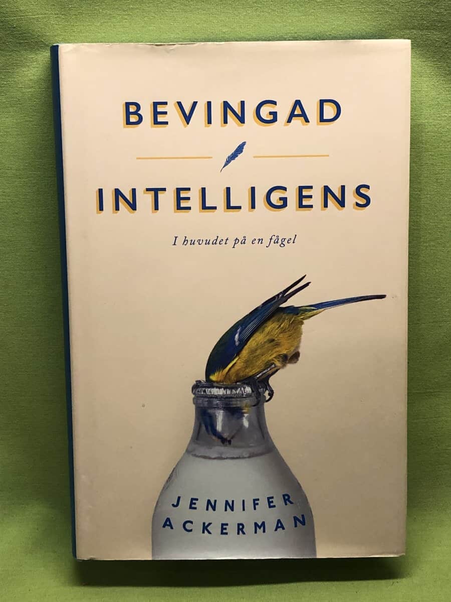 Jennifer Ackerman : Bevingad intelligens